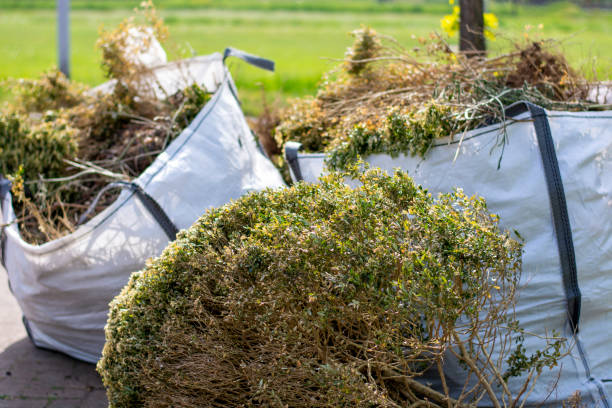 Best Shed Removal  in Searingtown, NY